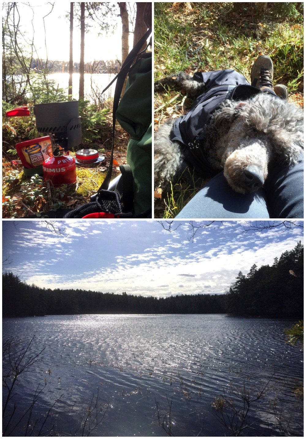 Processed with MOLDIV