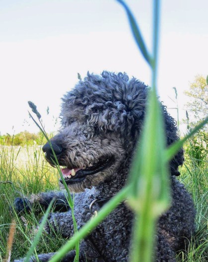 Processed with MOLDIV