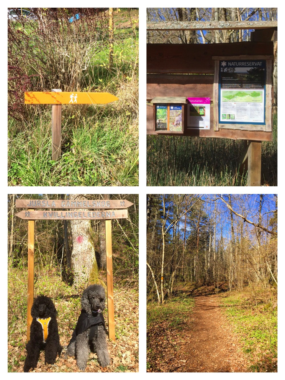 Processed with MOLDIV