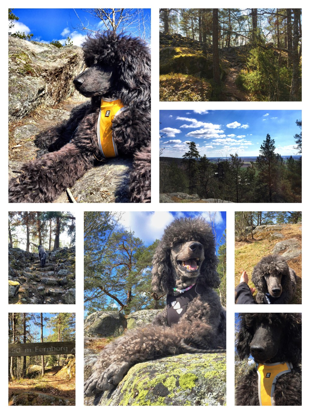 Processed with MOLDIV