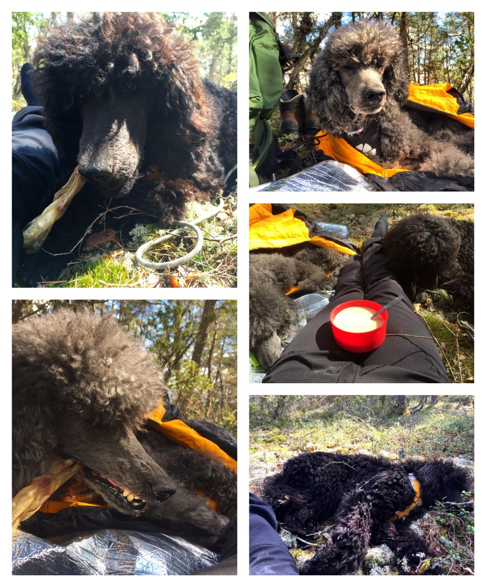 Processed with MOLDIV