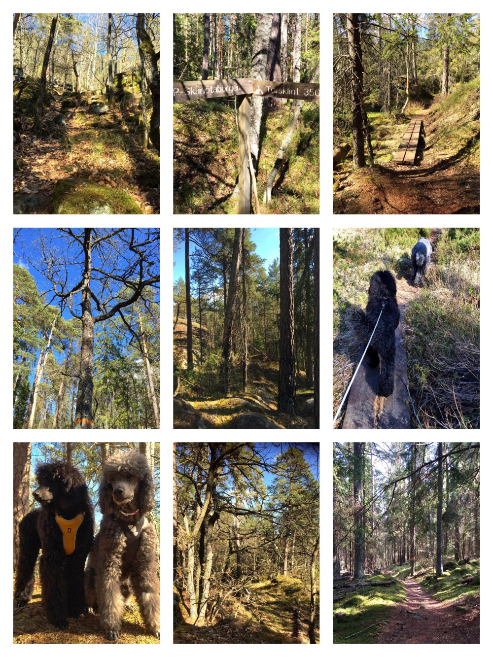 Processed with MOLDIV