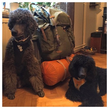 Processed with MOLDIV