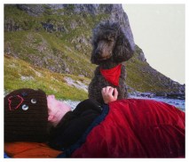 Processed with MOLDIV