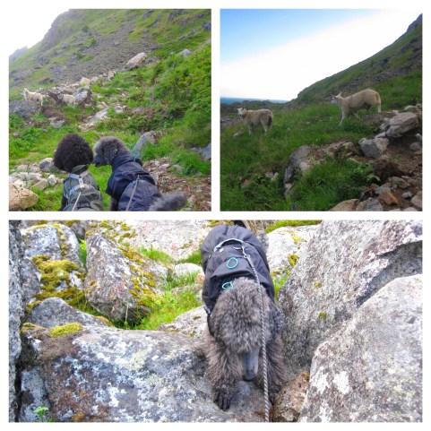 Processed with MOLDIV