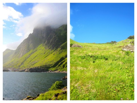 Processed with MOLDIV