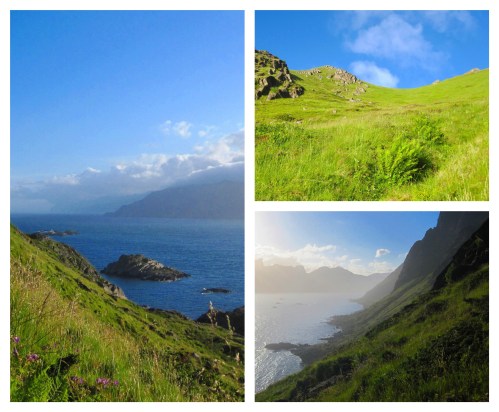 Processed with MOLDIV