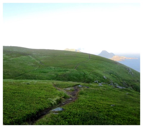 Processed with MOLDIV