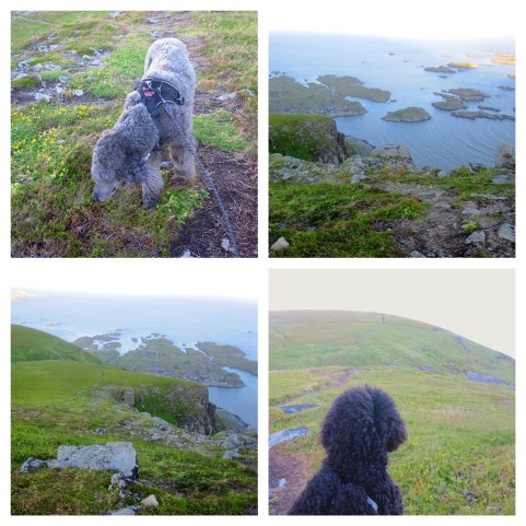 Processed with MOLDIV