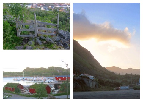 Processed with MOLDIV