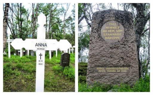 Processed with MOLDIV