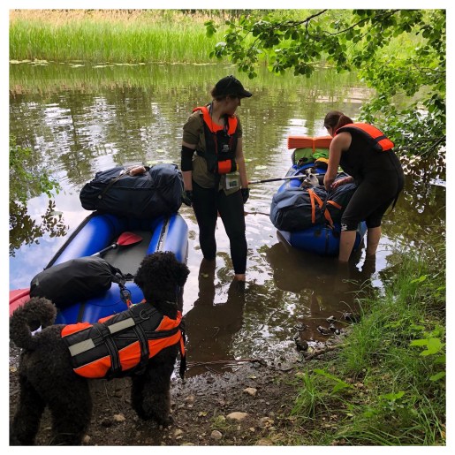 Processed with MOLDIV