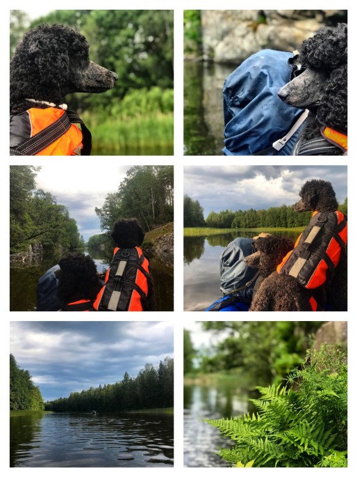 Processed with MOLDIV