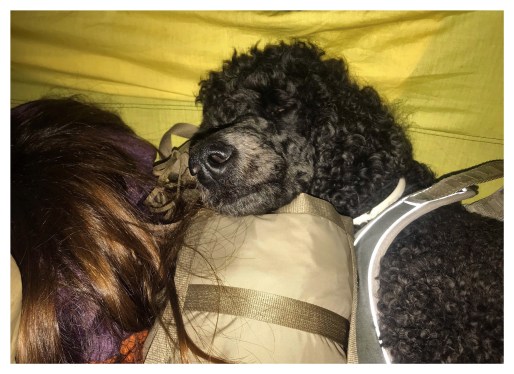 Processed with MOLDIV