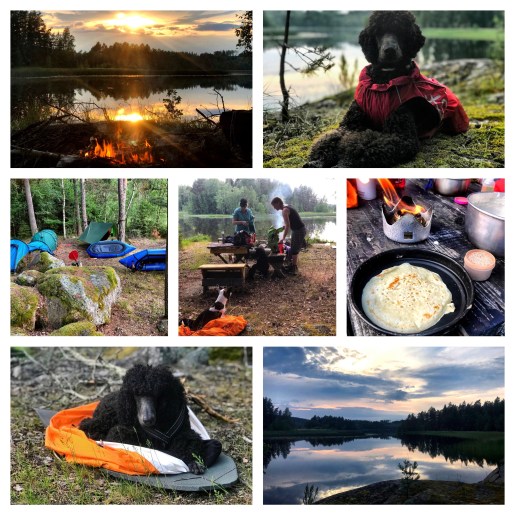 Processed with MOLDIV