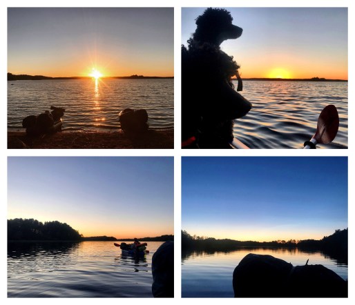 Processed with MOLDIV