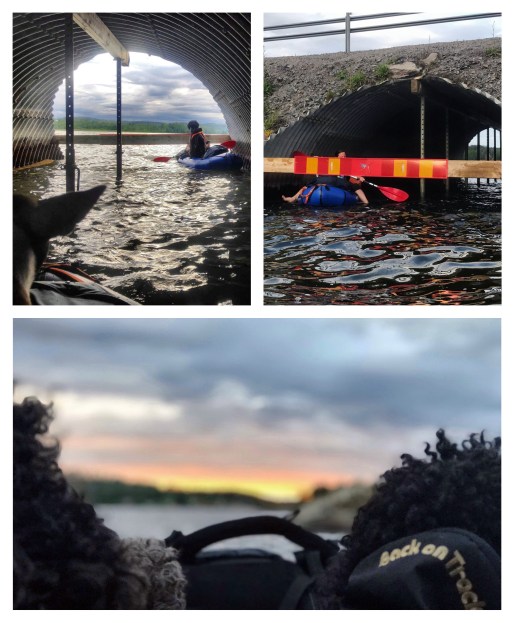 Processed with MOLDIV