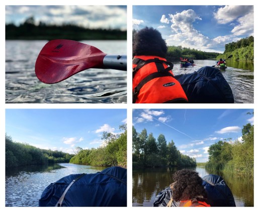 Processed with MOLDIV