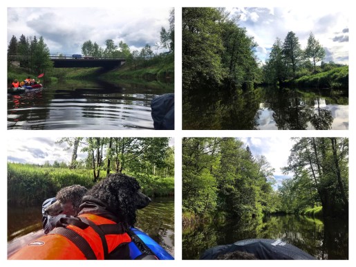 Processed with MOLDIV