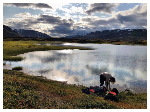 Processed with MOLDIV