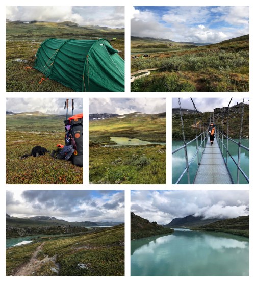 Processed with MOLDIV