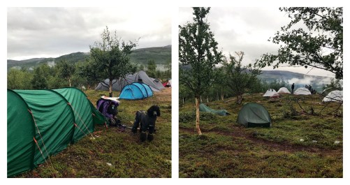 Processed with MOLDIV