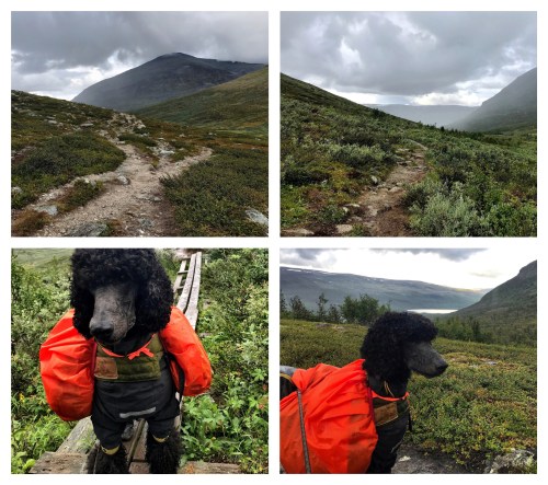 Processed with MOLDIV