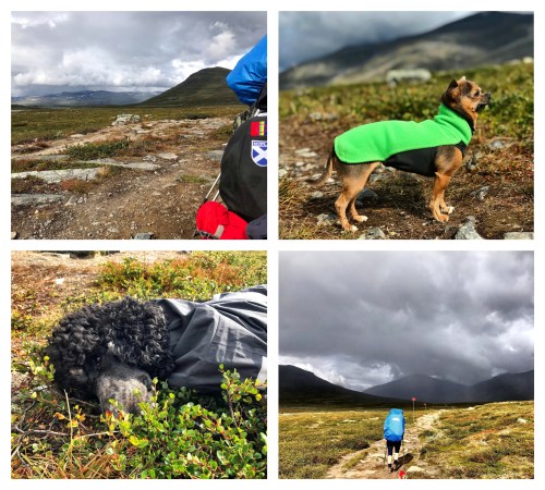 Processed with MOLDIV