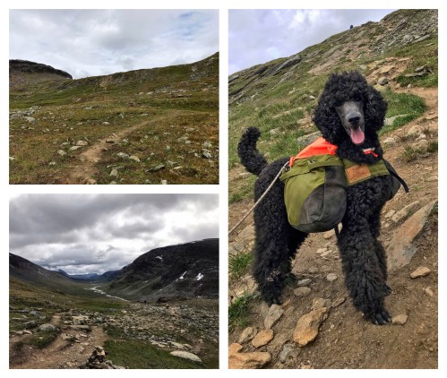 Processed with MOLDIV