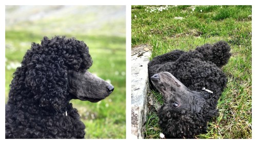 Processed with MOLDIV