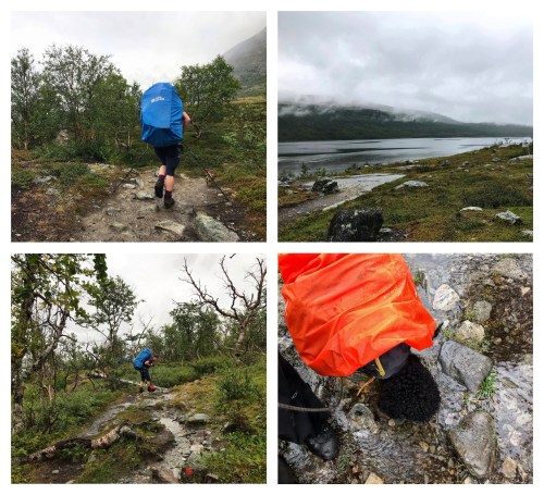 Processed with MOLDIV