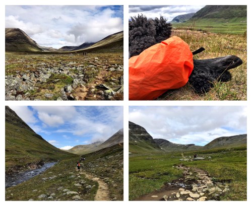 Processed with MOLDIV