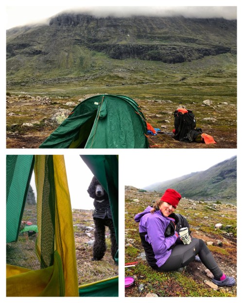 Processed with MOLDIV