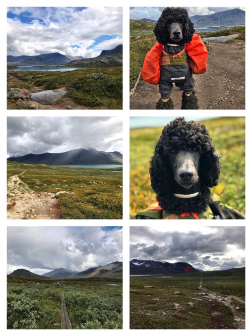 Processed with MOLDIV