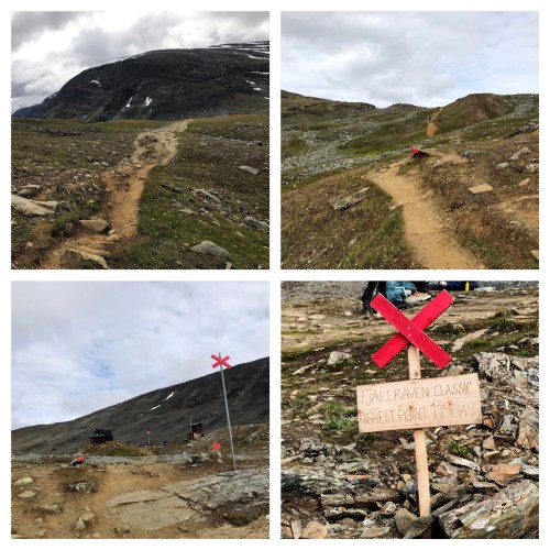 Processed with MOLDIV