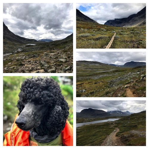 Processed with MOLDIV