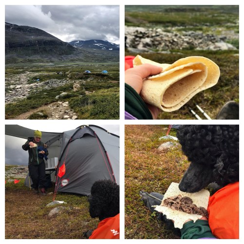 Processed with MOLDIV