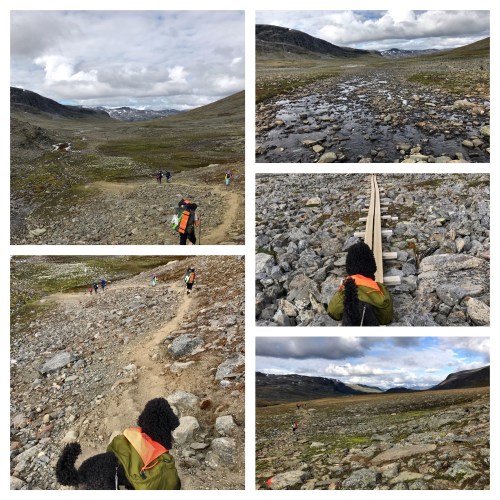 Processed with MOLDIV