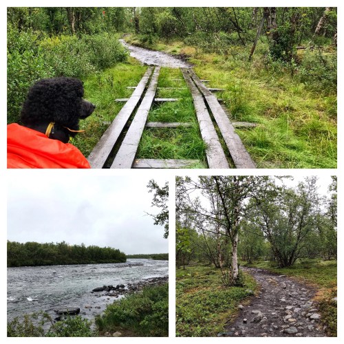 Processed with MOLDIV