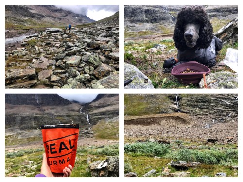 Processed with MOLDIV