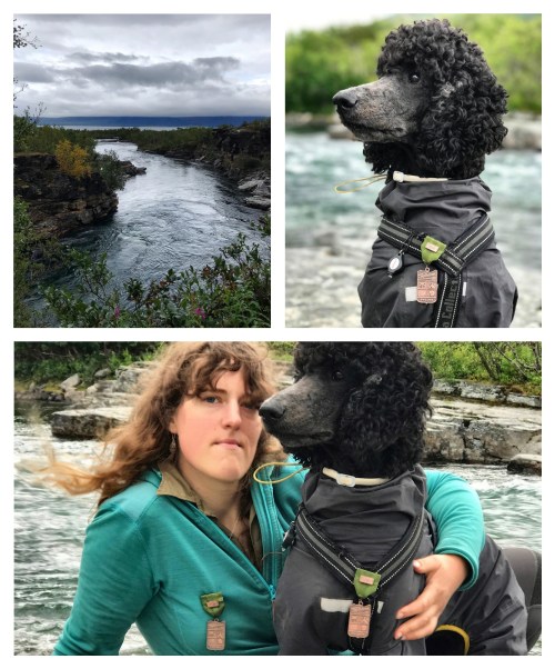 Processed with MOLDIV