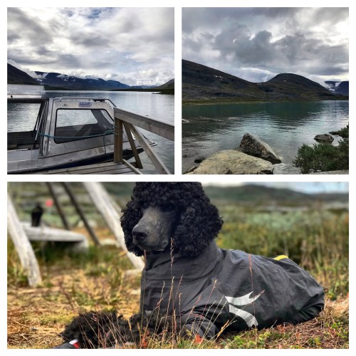 Processed with MOLDIV