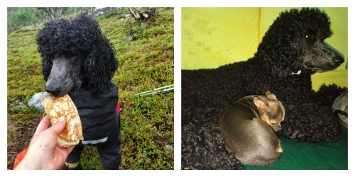 Processed with MOLDIV