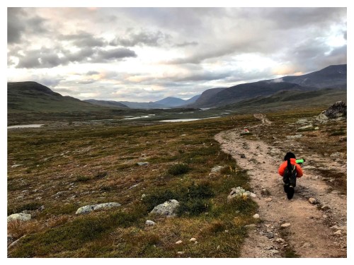 Processed with MOLDIV