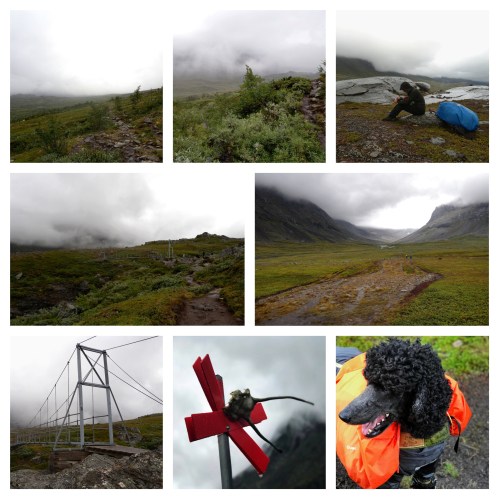 Processed with MOLDIV