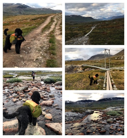 Processed with MOLDIV