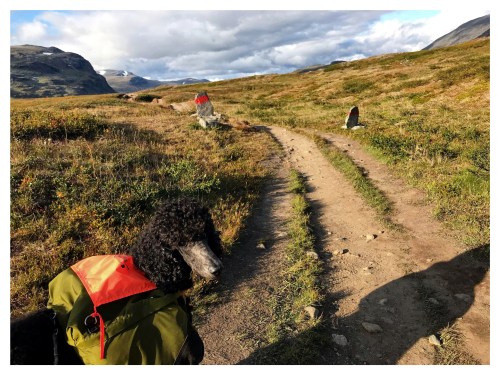 Processed with MOLDIV