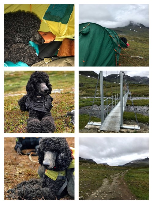 Processed with MOLDIV