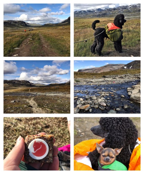 Processed with MOLDIV