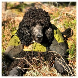 Processed with MOLDIV